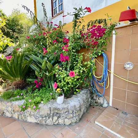 Semesterbostad Artisan's Óbidos