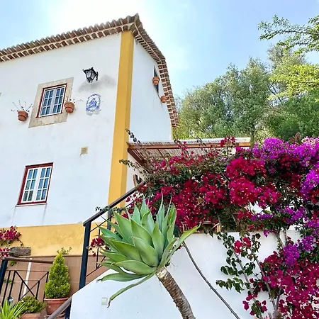Artisan's * Óbidos